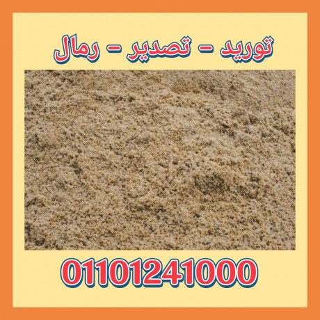 sand-export-tsdyr-rmal-msry-01101241000-tsdyr-rml-msry-big-9