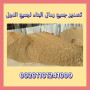 sand-export-tsdyr-alrmal-almsry-01101241000-tsdyr-rmal-rml-msry-small-3