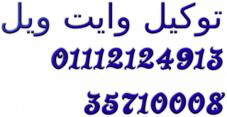 صيانة ثلاجات وايت ويل الحسينية 01095999314