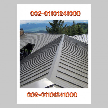 professional-christchurch-roofing-tiles-repair-company-00201101241000-roofing-tiles-big-11