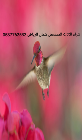 shraaa-athath-mstaaml-balshfaaa-0551877322-big-3