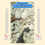 decorative-gravel-00201101241000-pebbles-white-gravel-pebbles-yellow-gravel-pebbles-brown-gravel-pebbles-small-1