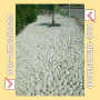 export-of-white-gravel-pebbles-whats-app-00201101241000-the-best-prices-small-14