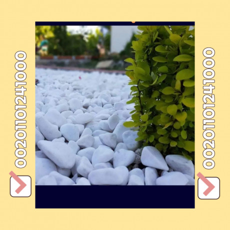 export-of-white-gravel-pebbles-whats-app-00201101241000-the-best-prices-big-9