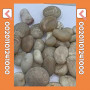 black-gravel-pebbles-black-gravel-pebbles-selling-supplying-and-exporting-small-14