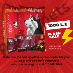 دراى فود الفا للكلاب alpha dry food for adlut dogs