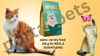 دراى فود الفا للقطط dry food alpha for cats