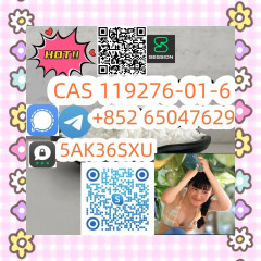 Low Price CAS 119276-01-6 China Factory 2