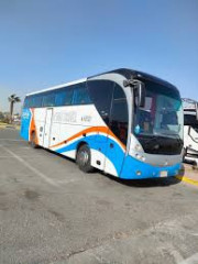 استئجار اتوبيس مرسيدس 50 راكب للنقل السياحي