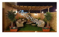 ahdth-shrk-roof-gardynz01101241000rof-gardynroof-garden-small-4
