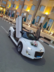 سيارات زفاف حديثة للايجار بالسائق 01033805570