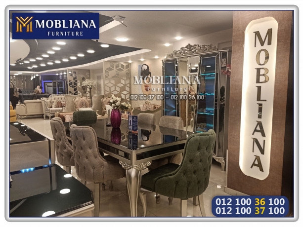 mobliana-furniture-big-1
