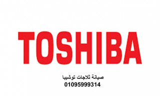 خدمة ثلاجات توشيبا العربى المطرية 01095999314